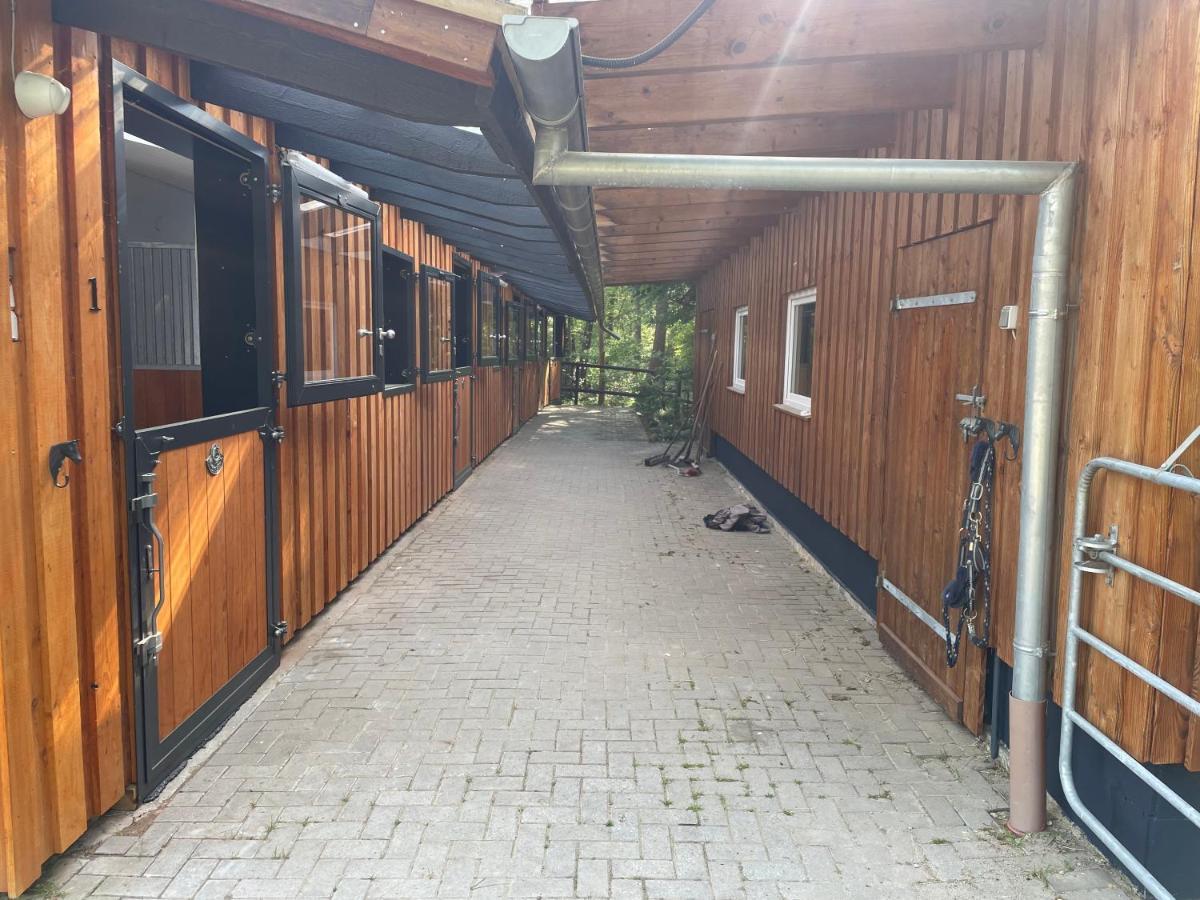 Steffens Hof Apartment Worpswede Luaran gambar